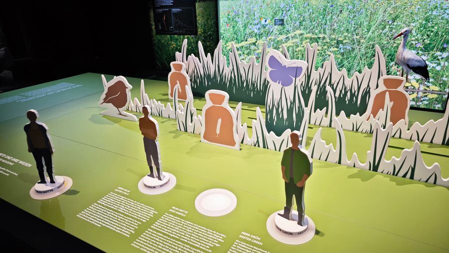 Deutsche Wildtier Stiftung - Exponat Wiesentisch