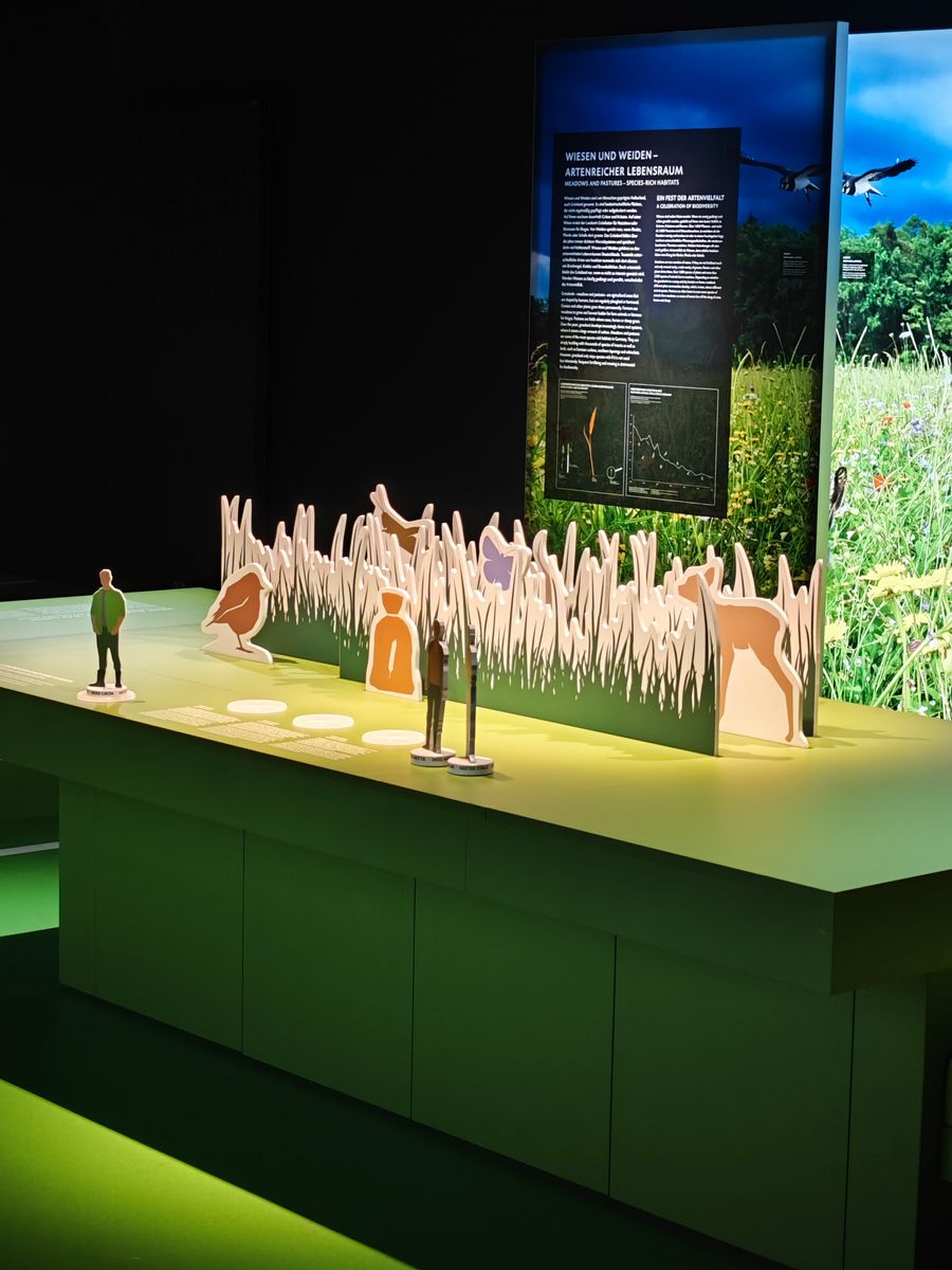 Museum Exponat